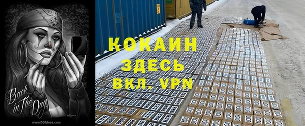 МДПВ Абаза