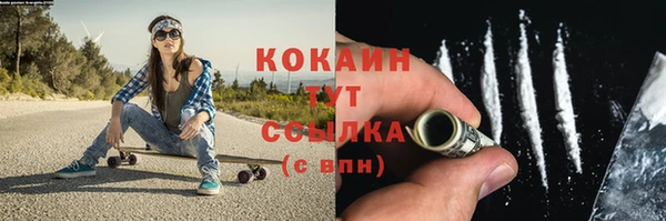 МДПВ Абаза