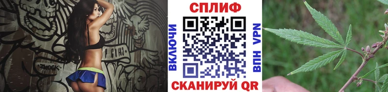 Конопля SATIVA & INDICA  OMG как зайти  Киров 